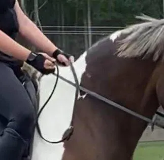 ZacZess Duo Glove ridhandske svart tvåfingers med grepp