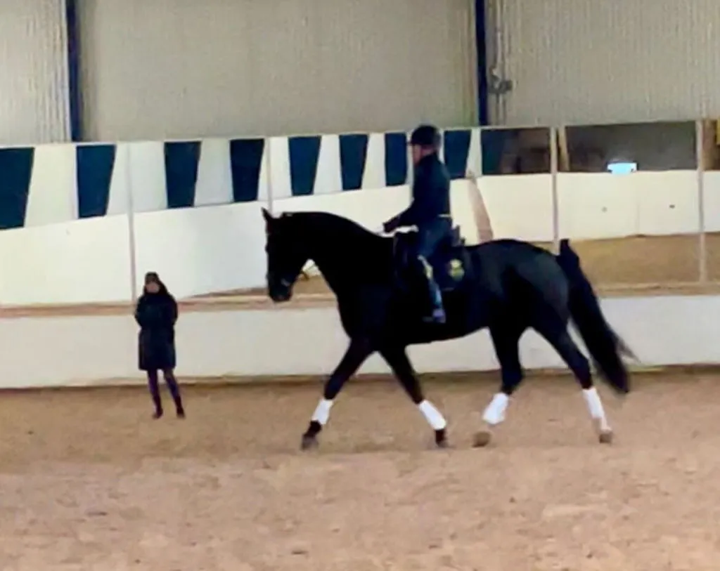 ZacZess London Pine Hybrid ridleggings YR junior